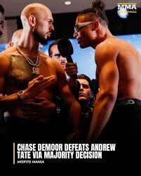andrew tate fight
